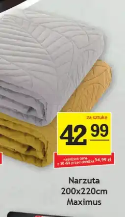 Gram Market Narzuta Maximus oferta