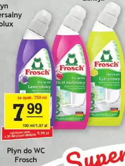 Gram Market Frosch Płyn do WC oferta