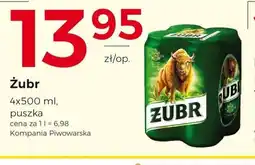 Frac Zubr piwo oferta