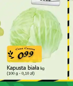 Delikatesy Centrum Kapusta biała oferta