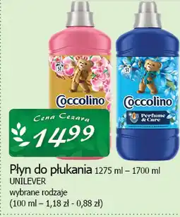 Delikatesy Centrum Płyn do płukania Unilever oferta