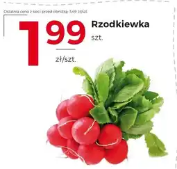 Frac Rzodkiewki S! oferta