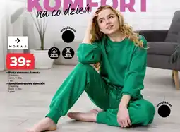 Netto Spodnie dresowe Moraj oferta