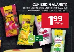 Stokrotka Matcha Sakura oferta