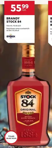 Stokrotka Brandy Stock oferta