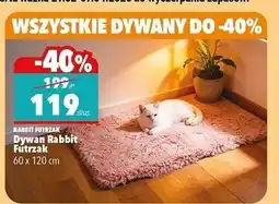 Biedronka Dywan rabbit futrzak 60 x 120 cm oferta