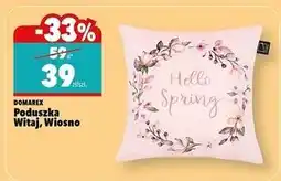 Biedronka Poduszka hello spring Domarex oferta