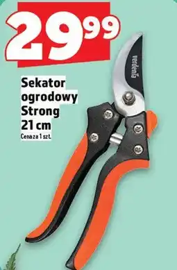 Topaz Sekator ogrodowy Strong 21 cm oferta