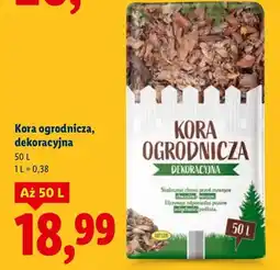 Lidl Kora ogrodnicza, dekoracyjna oferta