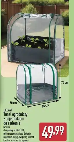 ALDI BELAVI Tunel ogrodniczy z pojemnikiem do sadzenia oferta