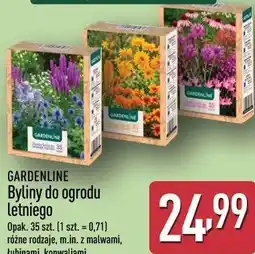 ALDI GARDENLINE Byliny do ogrodu letniego oferta