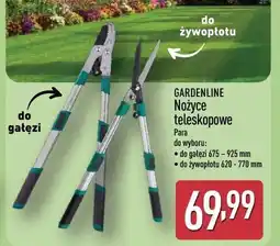 ALDI GARDENLINE Nożyce teleskopowe oferta