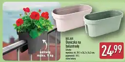 ALDI BELAVI Doniczka na balustradę oferta
