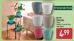 ALDI BELAVI Doniczka oferta