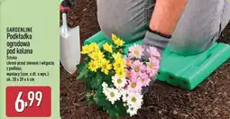 ALDI GARDENLINE Podkładka ogrodowa pod kolana oferta