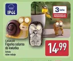 ALDI CASALUX Figurka solarna do kwiatka oferta