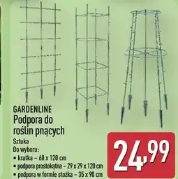 ALDI GARDENLINE Podpora do roślin pnących oferta