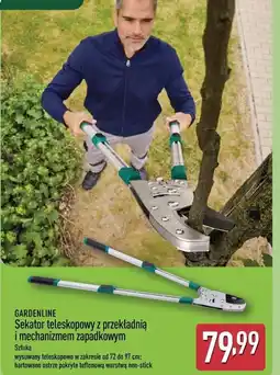 ALDI GARDENLINE Sekator teleskopowy z przekładnią i mechanizmem zapadkowym oferta