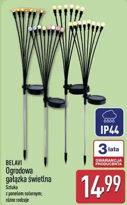 ALDI BELAVI Ogrodowa gałązka świetlna oferta