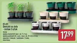 ALDI BELAVI Doniczki na zioła - zestaw 3 sztuk oferta