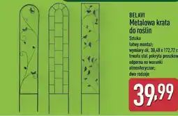 ALDI BELAVI Metalowa krata do roślin oferta