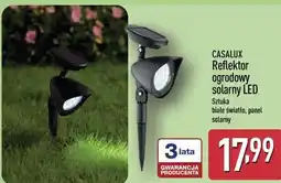 ALDI CASALUX Reflektor ogrodowy solarny LED oferta