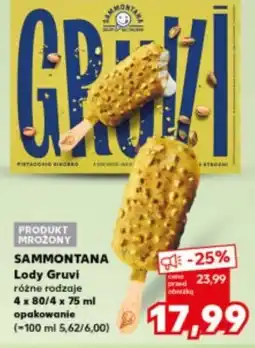 Kaufland SAMMONTANA Lody Gruvi różne rodzaje oferta
