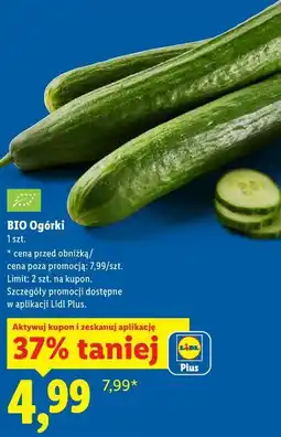 Lidl BIO Ogórki oferta