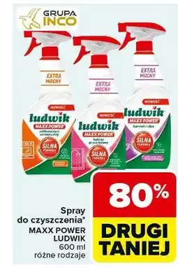 Carrefour Spray do czyszczenia Ludwik Maxx Power oferta