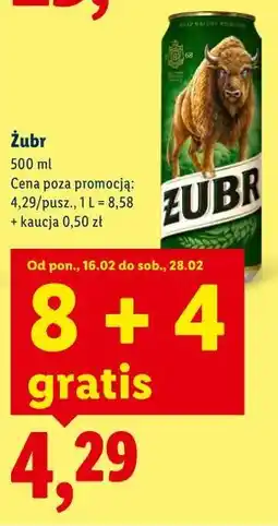 Lidl Piwo Żubr oferta