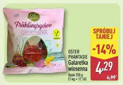 ALDI Galaretka wiosenna oferta