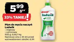 Netto Płyn do mycia naczyń Ludwik oferta