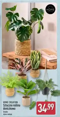 ALDI Sztuczna roślina doniczkowa Home Creation oferta