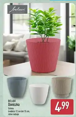 ALDI Doniczka oferta