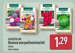 ALDI Nasiona warzyw/kwiatów/ziół oferta
