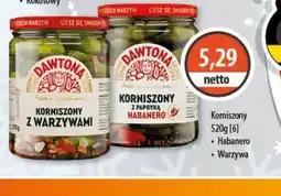 DUO-TES Dawtona Korniszony oferta