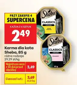 Biedronka Karma dla kota Classics różne rodzaje oferta