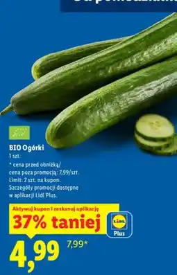 Lidl Ogórki bio 1 szt oferta
