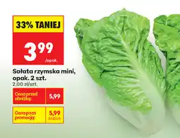 Biedronka Sałata rzymska mini, opak. 2 szt oferta