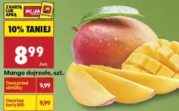 Biedronka Mango dojrzałe, szt oferta