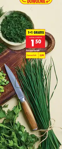 Biedronka Szczypiorek oferta