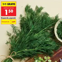Biedronka Koperek, pęczek oferta