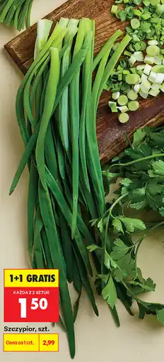 Biedronka Szczypior, szt oferta