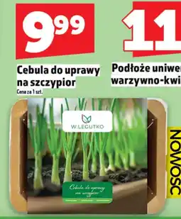 Topaz Cebula do uprawy na szczypior oferta