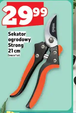 Topaz Verdenia Sekator ogrodowy Strong oferta