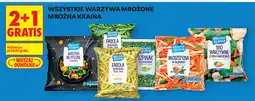 Biedronka Wszystkie warzywa mrożone Mroźna Kraina (różne rodzaje) oferta
