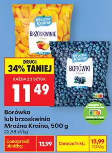 Biedronka Borówka lub brzoskwinia Mroźna Kraina oferta