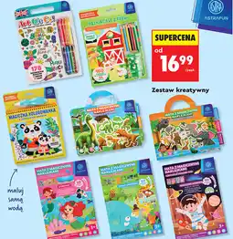 Biedronka Zestaw kreatywny (różne rodzaje) oferta