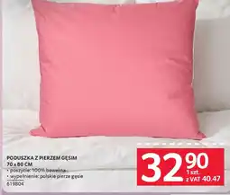 Selgros Poduszka z pierzem gęsim oferta