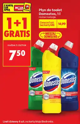 Biedronka Płyn do toalet Domestos oferta